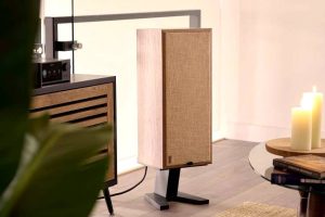 PSB Passif 50 - Image 2
