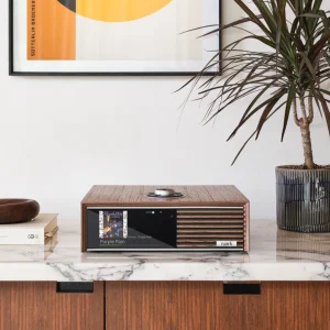 Ruark R610 ohne Lautsprecher