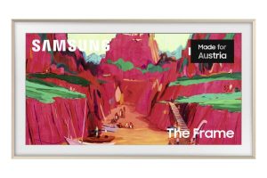 QE75LS03FWUXXN Frame Pro